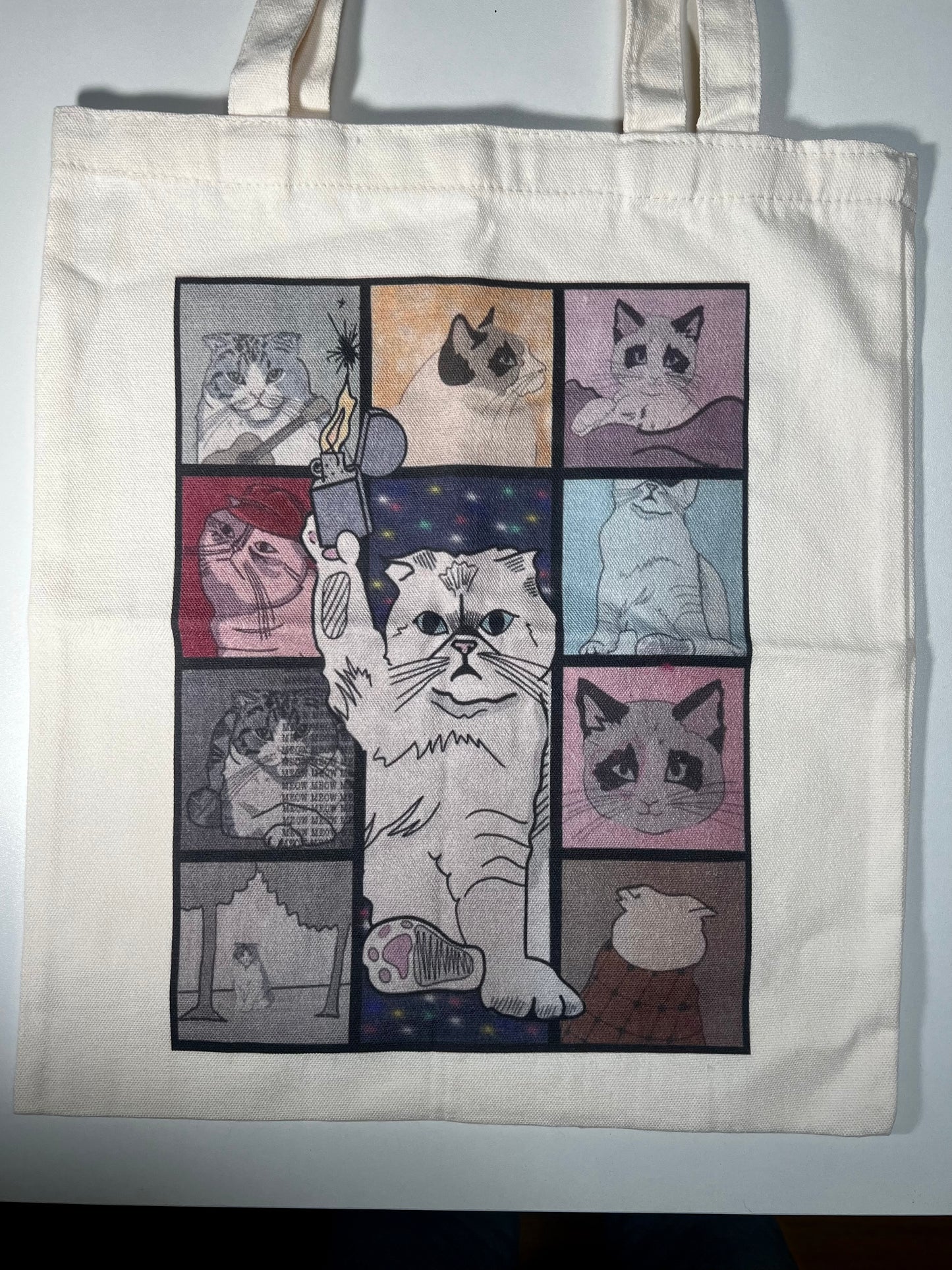 Taylor Swift Album Inspired Canvas Tote Bag